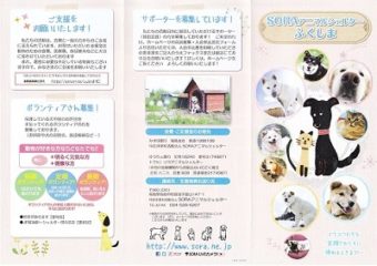 【常時】【犬】「SORAアニマルシェルターふくしま」 ボランティア、物資、サポーター募集 (福島県福島市)駅送迎