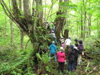 ［終了］福島の子どもたちと家族のための短期保養プログラム  「森の休日2018」サポーターの募集！