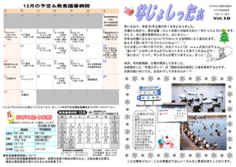 米沢市避難者だより「なじょしったぁ」 第10号